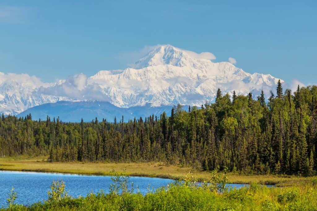 Denali