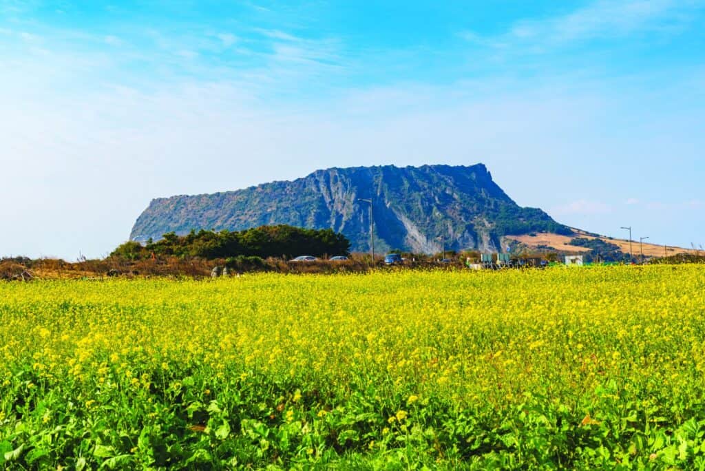 Gangjeong