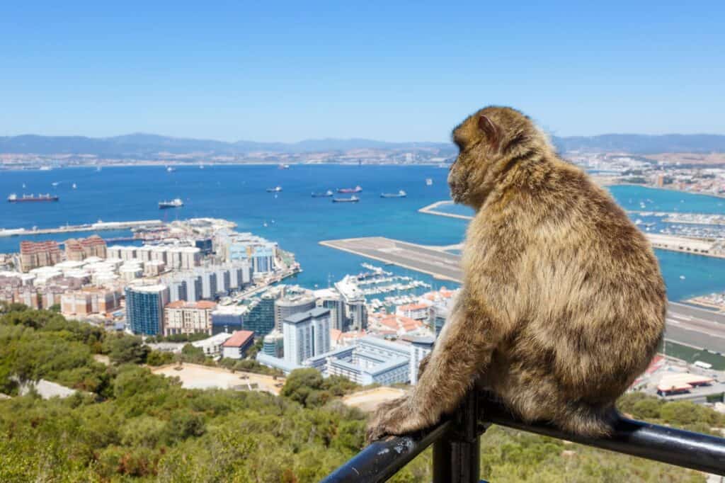 Gibraltar