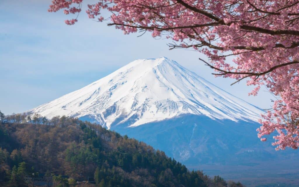 Shimizu